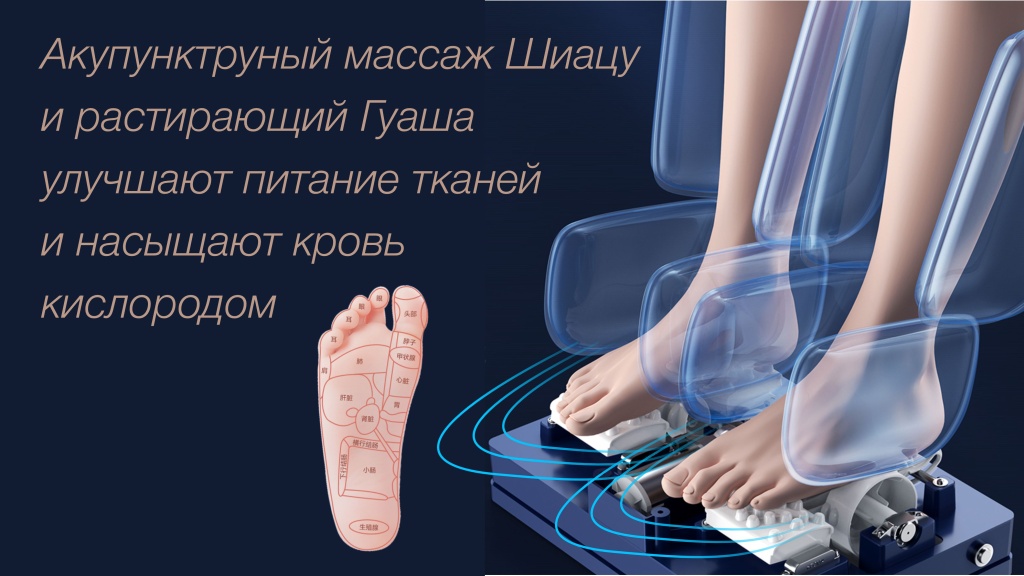 6.jpg 6.jpg